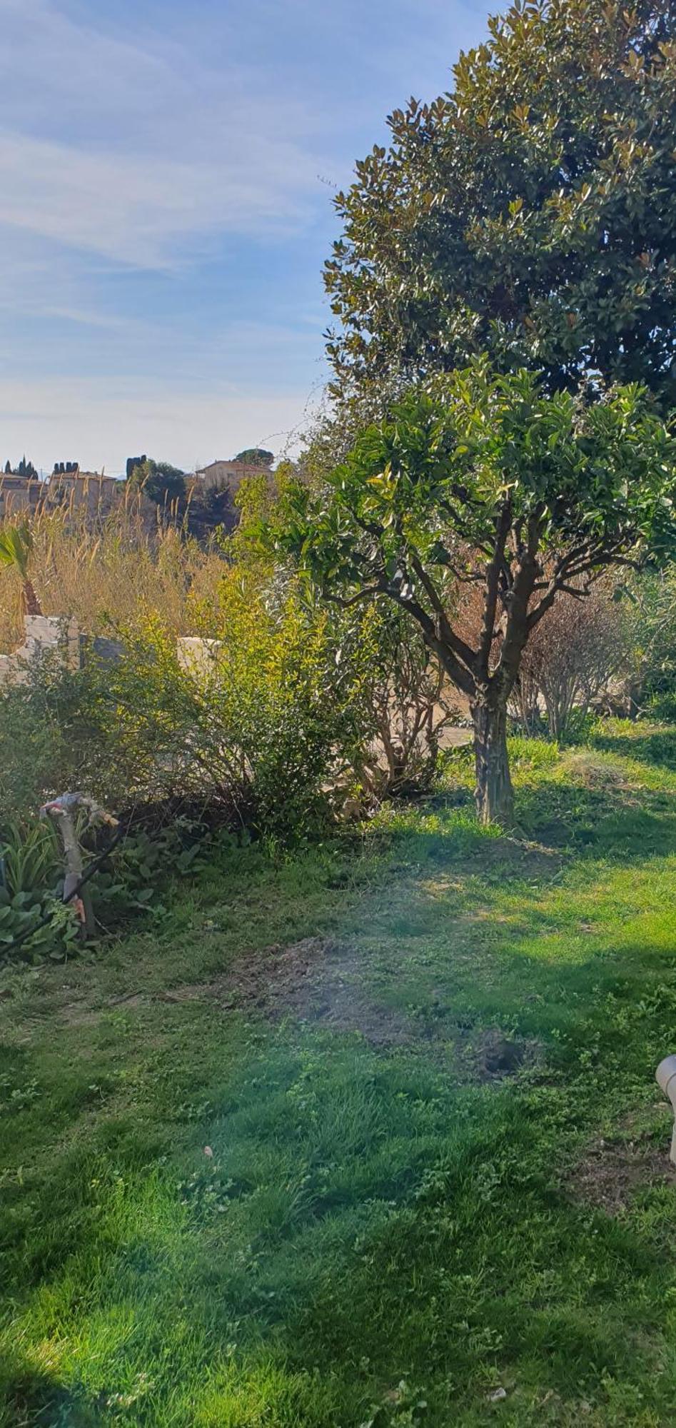 Villa Plein Sud à Tourrettes-sur-Loup Extérieur photo